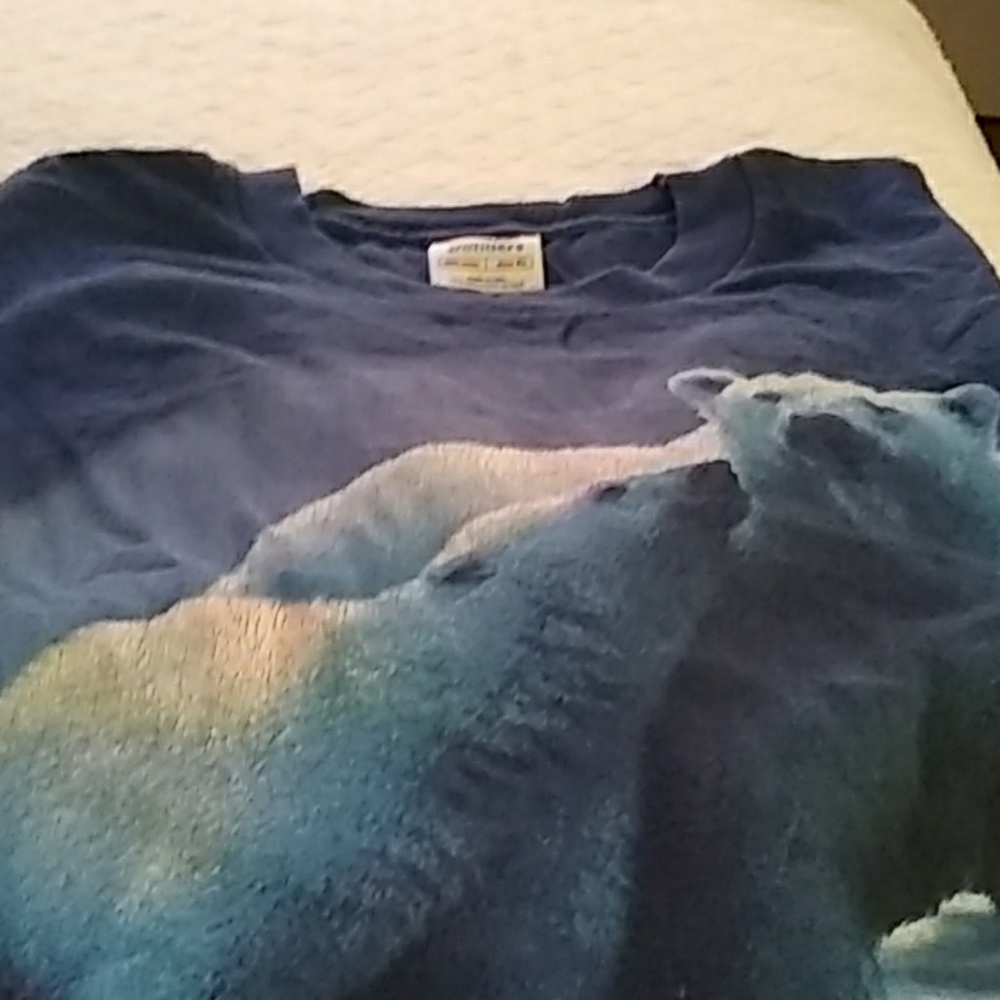 T shirt